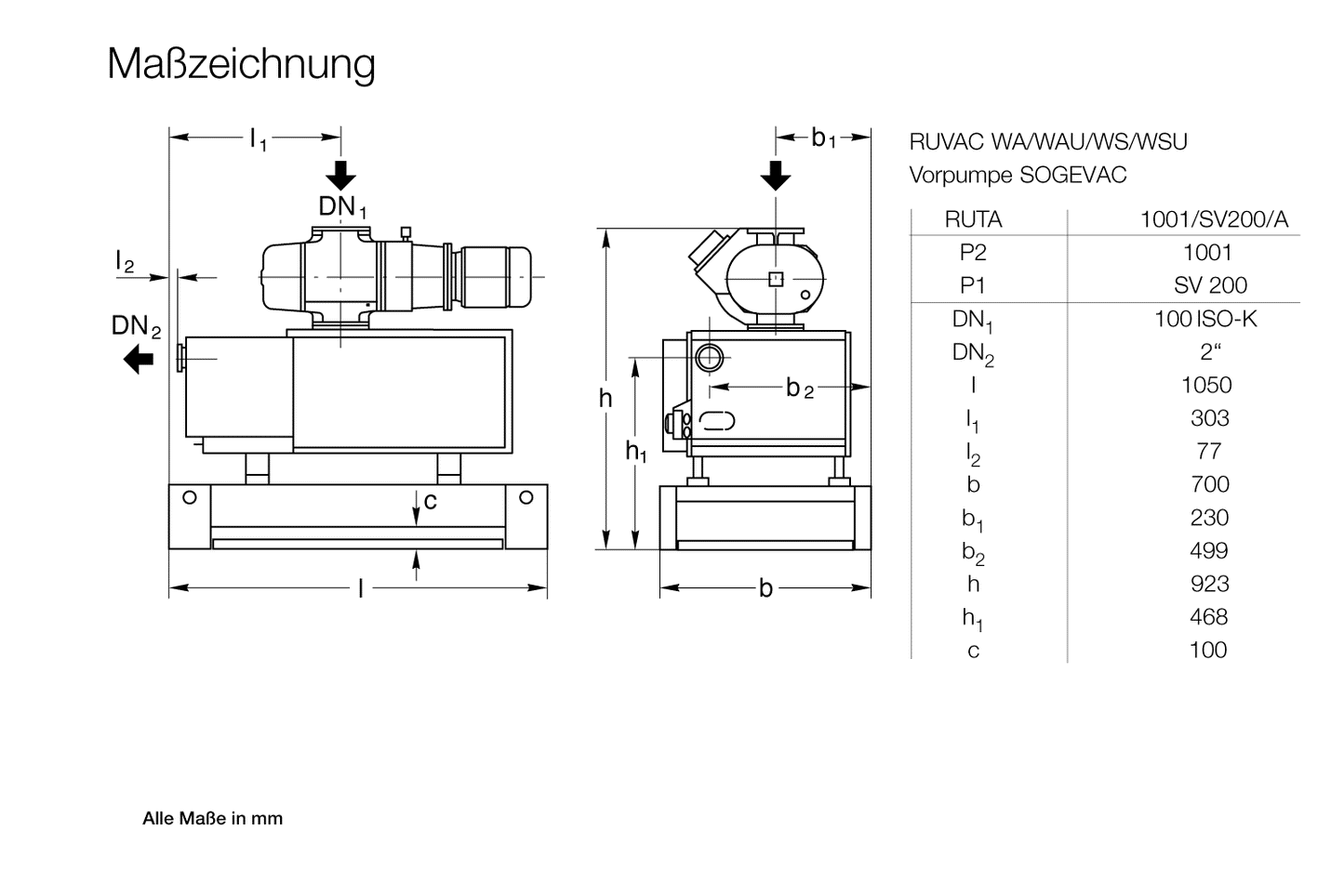 Leybold RUTA WAU 1001 / SV 200 / A