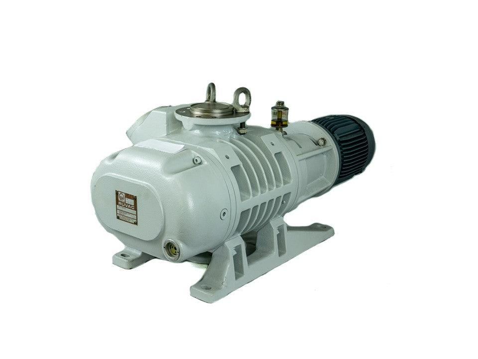 Maintenance on Leybold RUVAC WA501