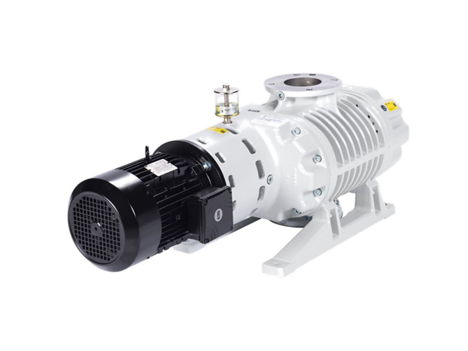 Maintenance on Leybold RUVAC WA1001