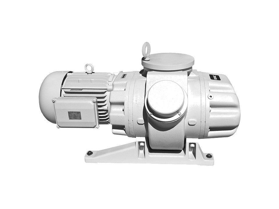 Maintenance on Leybold RUVAC WSU1001