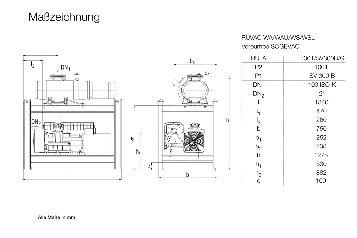 Leybold RUTA WAU 1001 / SV 300 B / G