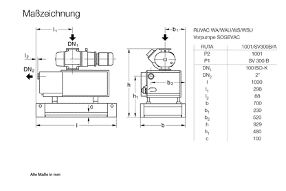 Leybold RUTA WAU 1001 / SV 300 B / A