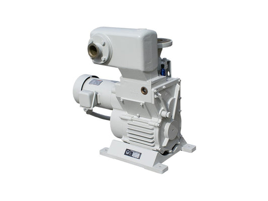 Leybold DK50 – refurbished