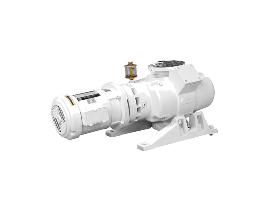 Leybold RUVAC WAU151 – refurbished